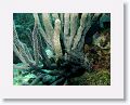 02-UnionIsland - 30